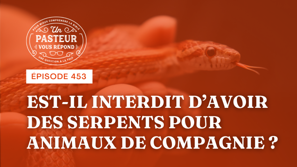 Est-il interdit d’avoir des serpents pour animaux de compagnie ? (Épisode 453)