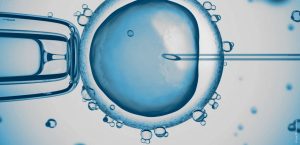 Briser le silence sur la fécondation in vitro