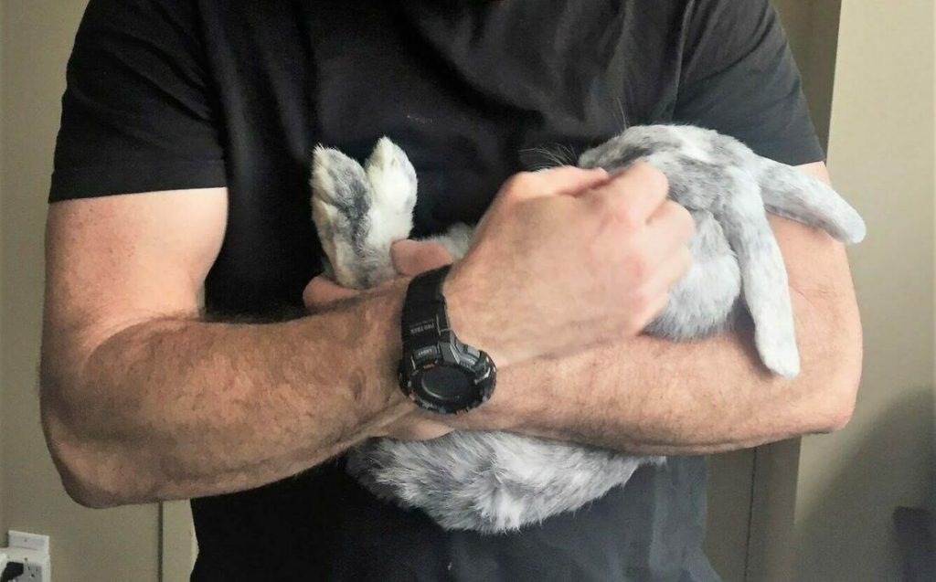 7 leçons tirées de la perte d’un animal de compagnie