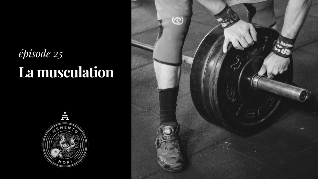 Comment comprendre l’engouement autour de la musculation ?