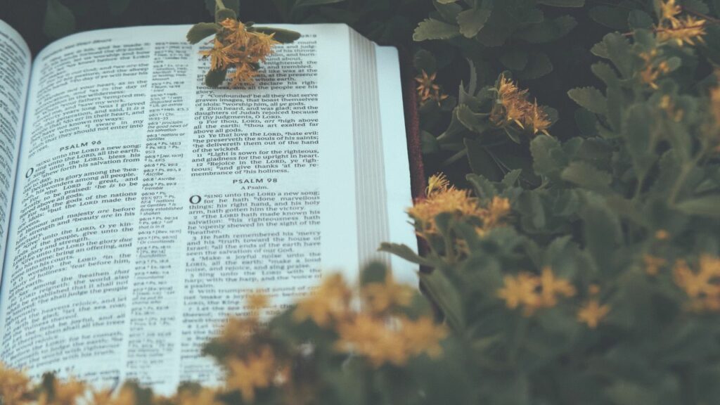 Le christianisme est-il responsable de la crise écologique actuelle ?