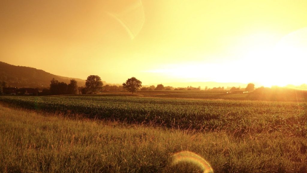 « L’agriculteur » : une histoire pour les découragés du ministère