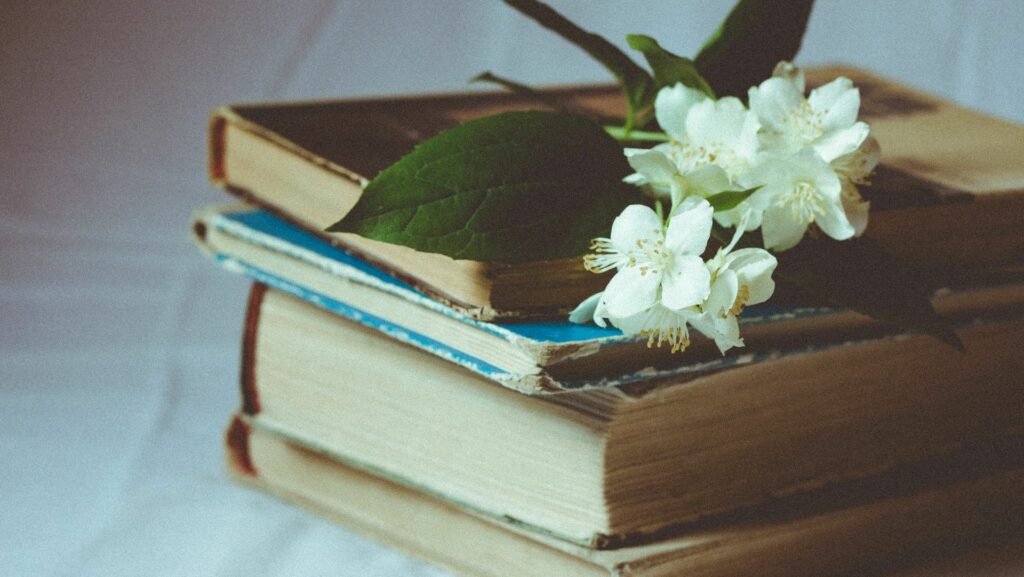 Livres : Collection « Partie Classics », les plus grands penseurs chrétiens
