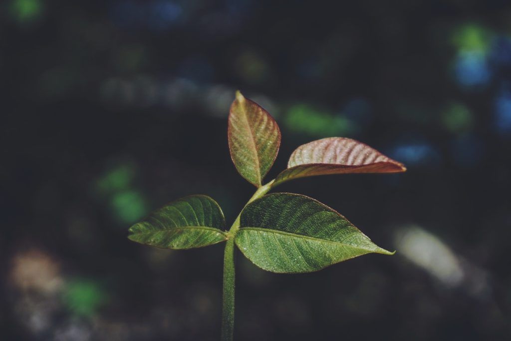 Comment fonctionne la sanctification ?