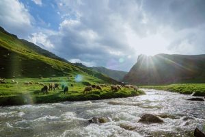 La Bible est-elle centrée sur nous ? La réponse surprenante des Psaumes