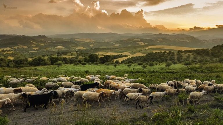 6 ressources pour pasteurs : octobre