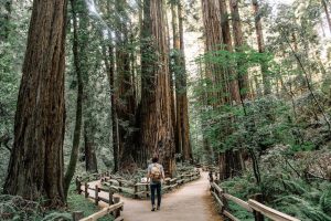 6 vérités pour nous encourager dans le chemin de notre sanctification