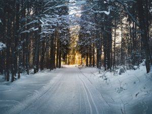 Le vrai « esprit de Noël » c’est au moins ces 3 émotions