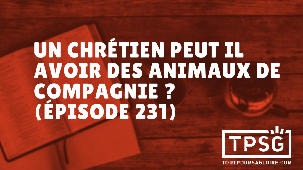Un chrétien peut-il avoir des animaux de compagnie ? (Épisode 231)