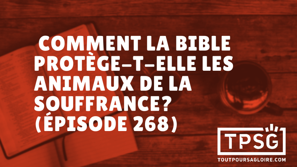 Comment la Bible protège-t-elle les animaux de la souffrance ? (Épisode 268)