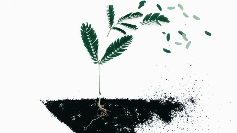Pourquoi l’Église ?