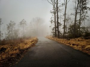 L’espérance et les douleurs du monde