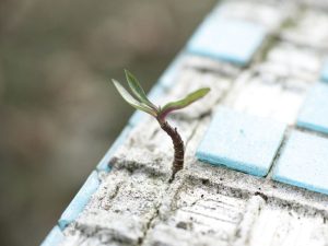 L’espérance et la fin d’un monde