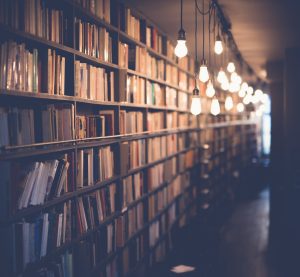 janko_ferlic_sf_L_Q_Onmy00_unsplash_scaled_95cd92a19b