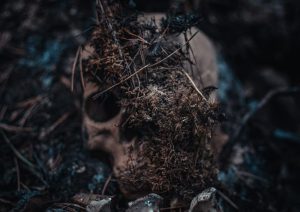 julia_kadel_HT_1c_B_Ts_550_unsplash_e1649702814218_9183500347