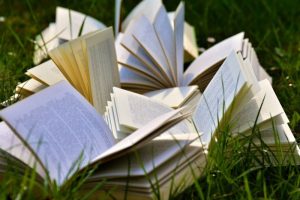 Les 11 meilleurs livres de mon année 2017
