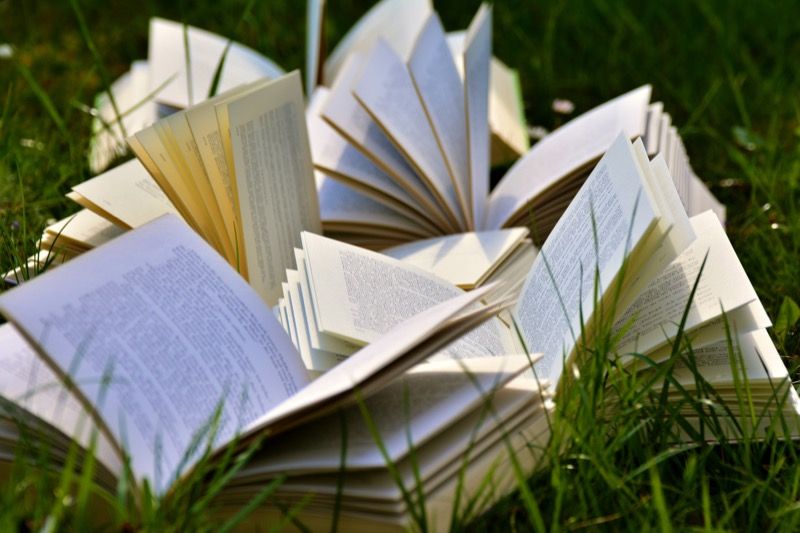 Les 11 meilleurs livres de mon année 2017