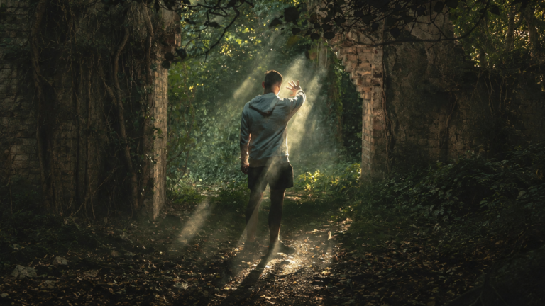 majestic_lukas_hd_A_Lq_C_Gg3_k_unsplash_cbba2e5ed3