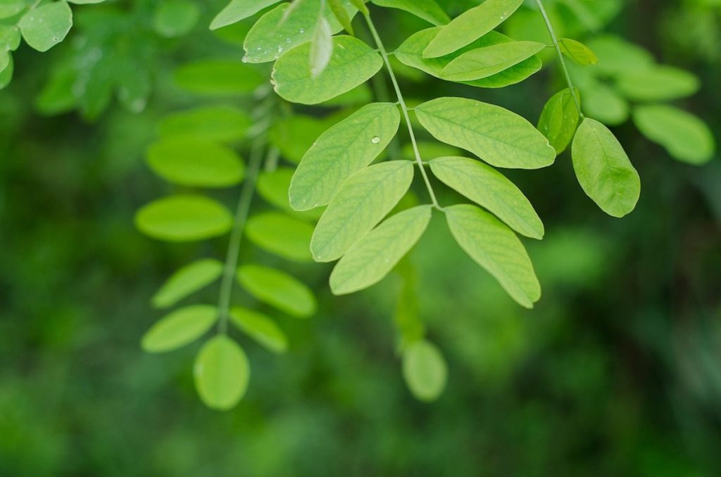 Doit-on se préoccuper de l’écologie ?