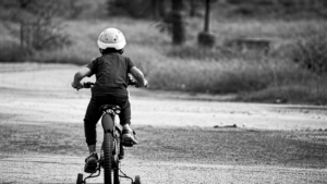 pexels_jyotirmay_datta_chaudhuri_76508487_10403889_59d05e2691