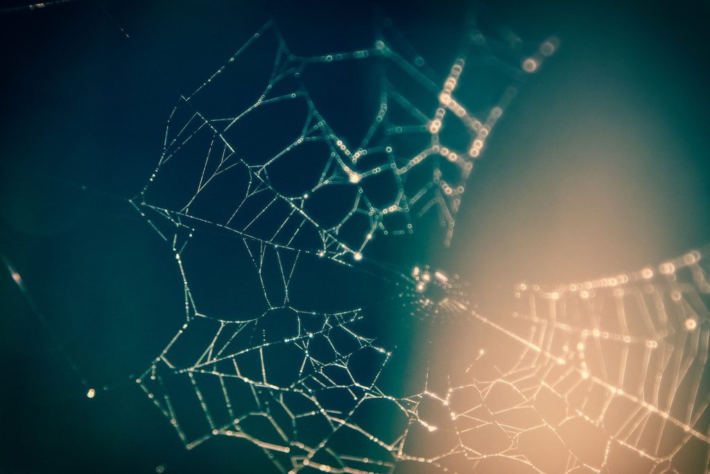 4 types de relations qu’un leader doit toujours développer