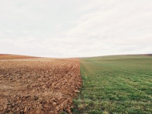Quelle sorte de terre es-tu ?