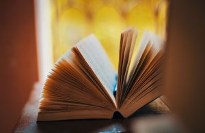 C’est quoi une Église en bonne santé ? (recension de livre)