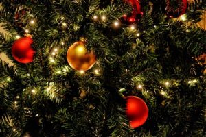Notre plan de lecture biblique pour Noël