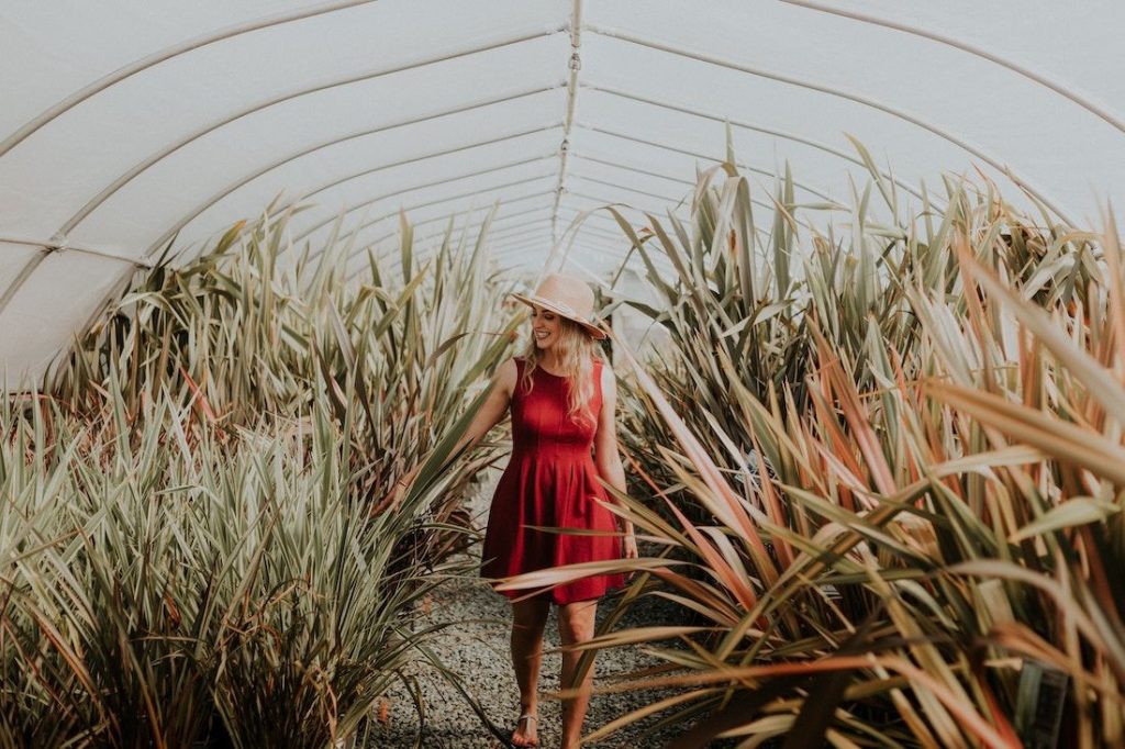 priscilla_du_preez_Jj5c_vz_Kk_DQ_unsplash_0f19c372b7