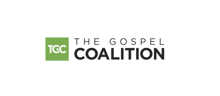 5 coups de cœur de TGC13