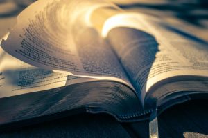 Pourquoi lire « Les Évangiles sont-ils fiables ?» de Peter Williams ?