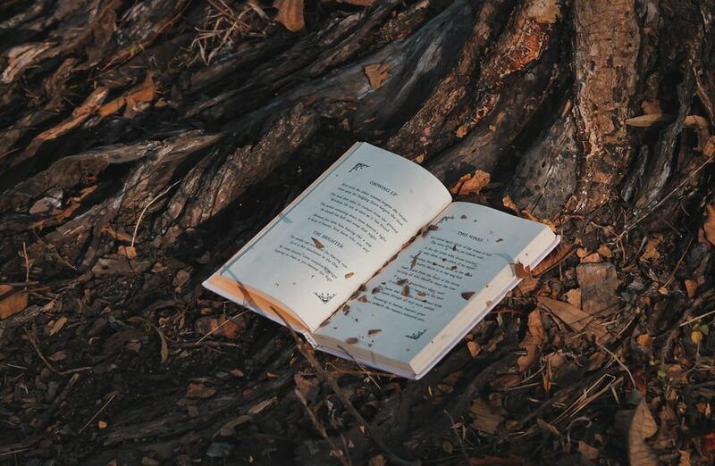 Mon avis sur « Un moment avec Jésus » de Sarah Young