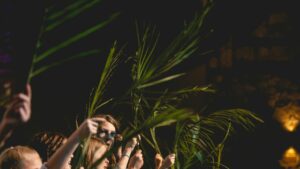 Que veut dire « Hosanna » ?