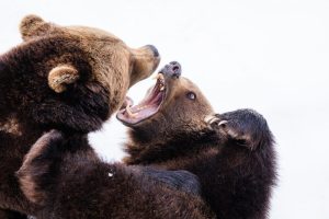 Comment être sagement en désaccord avec d’autres croyants