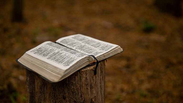 « Moi, ma Bible, et rien d’autre »
